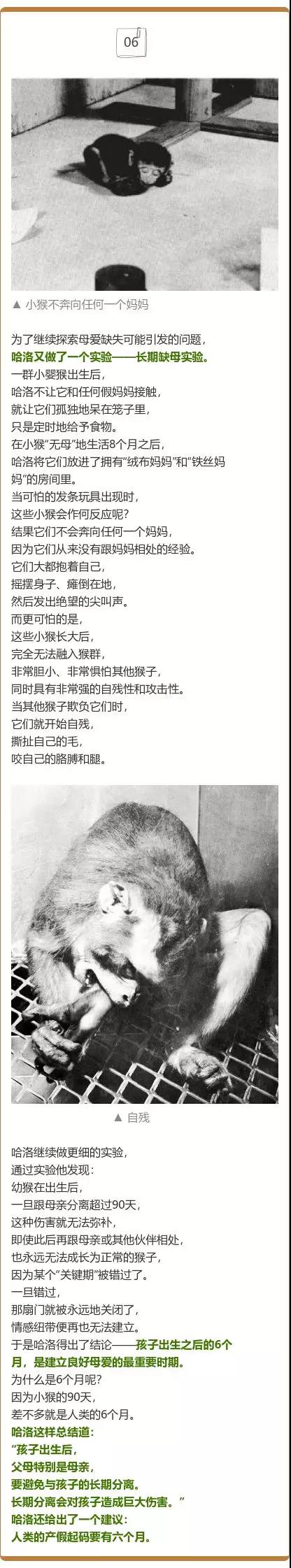 微信圖片_20190626141742.jpg